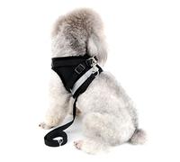Zunea No Pull Dog Harness for Small Dog, Reflective Breathable Soft Mesh Padded Step-in Vest Harness Leash Set, Adjustable Puppy Boy Dog Cat Lead for Daily Walking Running Training - (Black, L)