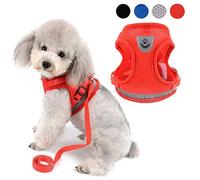 Zunea No Pull Dog Harness for Small Dog, Reflective Breathable Soft Mesh Padded Step-in Vest Harness Leash Set, Puppy Dog Cat Lead for Daily Walking Running Training - (Red, S)