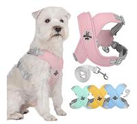 Zunea No Pull Dog Harnesses and Lead Set for Small Medium Dogs Adjustable Reflective Puppy Vest Harness Soft Breathable Mesh Padded Lightweight Vest with Back Clip for Chihuahua French Bulldog Pink S