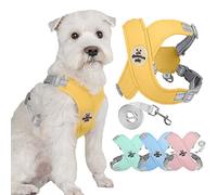 Zunea No Pull Dog Harnesses and Lead Set for Small Medium Dogs Adjustable Reflective Puppy Vest Harness Soft Breathable Mesh Padded Lightweight Vest with Back Clip for Chihuahua Bulldog Yellow L