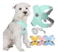 Zunea No Pull Dog Harnesses and Lead Set for Small Medium Dogs Adjustable Reflective Puppy Vest Harness Soft Breathable Mesh Padded Lightweight Vest with Back Clip for Chihuahua French Bulldog Green M