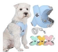 Zunea No Pull Dog Harnesses and Lead Set for Small Medium Dogs Adjustable Reflective Puppy Vest Harness Soft Breathable Mesh Padded Lightweight Vest with Back Clip for Chihuahua French Bulldog Blue L