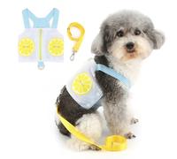 Zunea No Pull Dog Harnesses for Small Dogs Soft Breathable Mesh Puppy Vest Harness and Leash Set Cute Lemon Summer Clothes Zipper XS/S Size Pet Apparel for Chihuahua Yorkie Doggie Cats Blue S