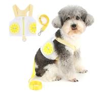 Zunea No Pull Dog Harnesses for Small Dogs Soft Breathable Mesh Puppy Vest Harness and Leash Set Cute Lemon Summer Clothes Zipper XS/S Size Pet Apparel for Chihuahua Yorkie Doggie Cats Yellow L