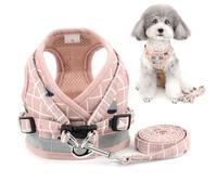 Zunea No Pull Small Dog Harness and Lead Set Adjustable Reflective Step-in Chihuahua Vest Harnesses Mesh Padded Plaid Escape Proof Puppy Jacket for Boy Girl Pet Dogs Cats Pink L