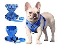 Zunea Pet Dog Harness for Small Dogs No Pull - Adjustable Reflective Breathable Mesh Vest for Puppies, Cats, Chihuahua, Yorkie - Escape Proof XS/S Size Blue Harness Lead Set for Walking