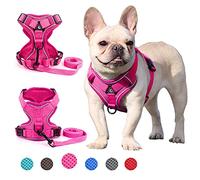 Zunea Pet Dog Harness for Small Dogs No Pull Puppy Vest harness Lead Set Adjustable Reflective Breathable Mesh Vest Harnesses Chihuahua Yorkie Harness Escape Proof for Walking Training Pink L