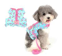 Zunea Small Dog Girl Harness and Lead Set No Pull Chihuahua Dress Escape Proof Cat Kitten Vest Harness Step-In Soft Cotton Padded Cherry Printed Puppy Jacket Clothes with Bow for Walking Blue XS