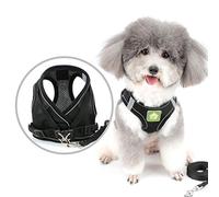 Zunea Small Dog Harness and Lead Set No Pull Puppy Vest Harnesses Adjustable Reflective Soft Mesh Step-in Pet Cat Harness Escape Proof for Walking, Bright Colors for Dogs Girl Boy Black S