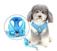 Zunea Small Dog Harness and Lead Set No Pull Puppy Vest Harnesses Adjustable Reflective Soft Mesh Step-in Pet Cat Harness Escape Proof for Walking, Bright Colors for Dogs Lightblue XL