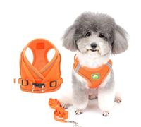 Zunea Small Dog Harness and Lead Set No Pull Puppy Vest Harnesses Adjustable Reflective Soft Mesh Step-in Pet Cat Harness Escape Proof for Walking, Bright Colors for Dogs Orange S