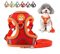 Zunea Suede Dog Harness Leash Set No Pull Puppy Vest Harnesses, Red, M | Adjustable, Reflective, Step-in, Lightweight, Escape Proof for Outdoor Walking, for Small Dogs, Chihuahua, Yorkshire, Cats