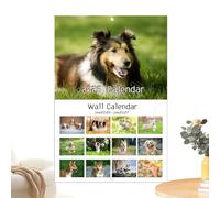 Zunishaone 2026 Dog Calendar, Creative and Cute, Wall Calendar for Dogs and Cats | for Organization on Desk, Home, Table, Study, Family, Workplace, School and