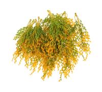 ZUNOXAZ 20pcs Artificial Rice Wheat Ears Bundle Simulated Wheat Grass Fake Plant for Wedding Table Centerpiece Home Office Autumn Decor Easy Maintenance Natural Look