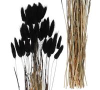ZUNOXAZ 60pcs Black Dried Rabbit Tails Grass for Wedding Decor, Floral Arrangements, and Photography, Bulk Bunny Tails Dried Flowers for Gothic and Black Wedding Decorations