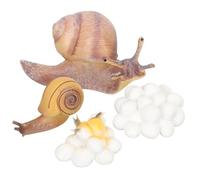 ZUNOXAZ Animal Cycle Figures Educational for Realistic Animal for Preschool Learning Storytelling Role Playing and Nature Exploration Snail Growth Stage Models for Boys