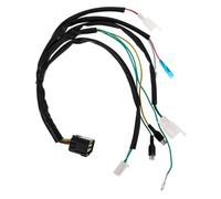 ZUNOXAZ Atv Electric Wiring Harness Kit Engine Wiring Loom with Connectors Compatible for Lifan Yinxiang Offroad Motorbike Easy Installation Full Coverage Ignition Cable Harness