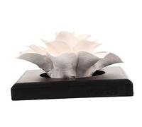 ZUNOXAZ Car Aroma Diffuser Ceramic Magnolia Scent Small Air Perfume Diffuser Decor Essential Oil Passive Porous Stone for Vehicle Interior and Desktop Use