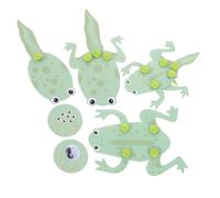 ZUNOXAZ DIY Frog Life Cycle Educational Kit Biology Learning with Tadpole to Frog Models for Science Projects and Experiment Materials