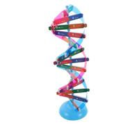 ZUNOXAZ Dna Double Helix Model Kit Educational Biology Teaching Aid Interactive Molecular Structure Tool for School Students Genetics Learning and Science Experiment