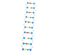 ZUNOXAZ Double Helix Dna Model Science Educational Instrument Assembly Interactive Biology Teaching Aid for Students Hands Molecular Structure Display for Learning Genetics