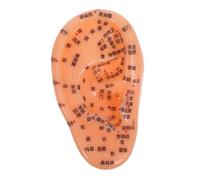 ZUNOXAZ Ear Point Model Anatomical Massage Tool Chinese Medicine Acupuncture Practice Simulation Prop for Teaching and Nursing