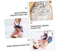 ZUNOXAZ Educational Human Body Anatomy for Preschool Learning Soft Organ Model for Fine Motor Skills Recognition Stem Teaching Tool for Kindergarten