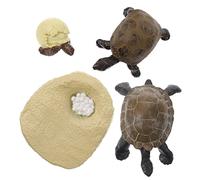 ZUNOXAZ Educational Tortoise Growth Cycle Model for Realistic Animal Figure Cognitive Playthings for Natural Science Learning for Home Classroom