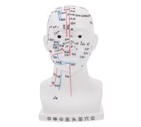 ZUNOXAZ Human Head Acupuncture Model with Facial Acupoints Soft PVC Medical Massage Teaching Tool for Students and Practitioners Educational Anatomy Display