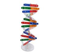 ZUNOXAZ Interactive Double Helix Dna Model Science Educational Kit for Middle School Nursing Medical Students DIY Assembly Biology Teaching Aid for Physiology and Genetics Random Color