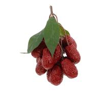 ZUNOXAZ Lifelike Artificial Jujube String Head Realistic Faux Dried Red Dates Decoration for Home Office Film Prop Craft Display Natural Elegance Multipurpose