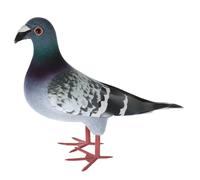 ZUNOXAZ Realistic Artificial Feathered Pigeon Foam Bird for Garden and Home Decoration Lightweight Miniature Dove Statue with Fine Workmanship Random Style for Indoor Outdoor Use