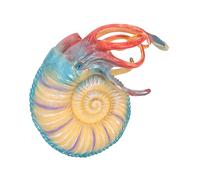 ZUNOXAZ Simulated Nautilus Model Ocean Animal Figurine Educational Life Ornament Plastic Science for Environmental Awareness Decor