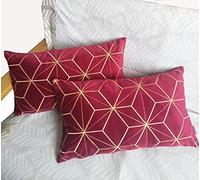 ZUODUTEX 30 x 50 Cm Pack of 2 Embroidered Wine Red Velvet Cushion Covers Decorative Throw Pillow Cover Cushion Case Pillow Case