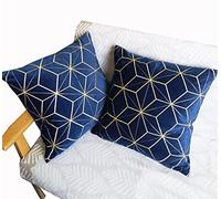 ZUODUTEX Pack of 2 Embroidered Square Navy Velvet Cushion Covers Decorative Throw Pillow Cover Cushion Case Pillow Case 45 X 45 CM