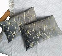 ZUODUTEX Pack of 2 Rectangle Embroidered Grey Velvet Cushion Covers Decorative Throw Pillow Cover Cushion Case Pillow Case 30 x 50 Cm