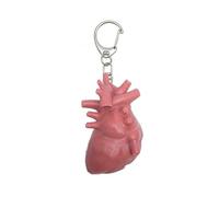 Zuoeay Artistics Alloy Keychain Depicting Human Organs A Thoughtful Gifts For Friend Experiencing Emotional Challenges Unique Organ Shaped Keychain