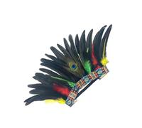Zuoeay Carnivals Party Accessories Hairband For MardiGras Festival Props Feathered Headband Adult Role Play Indian Hairband Feather Headband