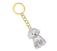 Zuoeay Emotionally Pet Loss Keychain Memorial Box With Clear Hair Storage Box For Grieving Owners Dog Remembrance Gift Ashes Container Emotional Loss Comfort Clear Hair