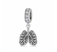 ZUOHUI S925 Medical Anatomy Charms Set (Heart/Brain/Bone) | Oxidized Sterling Silver | Pandora-Compatible DIY Jewellery & Gift for Nurses, Sister(D)