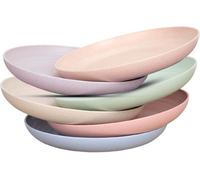 Zuvo Plastic Plates Set Of 6 Reusable 10 Inch Unbreakable Dinner Plates Microwave And Dishwasher Safe