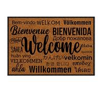 ZUYOENCO Front Door Mat Indoor Entrance Rugs Indoor, Welcome in Different Languages Summer Door Mat Doormat Outdoor Entrance Funny Door Mats 23.6X15.7 Inch