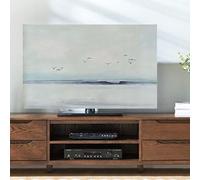 ZVfsdgSDFG outdoor tv， Wall Mounted LCD LED 55 Inch 50 Curved 65 Landscape Printed TV Cover(C,65in(151x92cm))