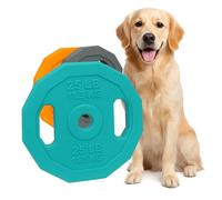 Zvire Dog Play Toy TPR Weight Plate - Durable Rubber Chew & Fetch Toy for Dogs | Tough Interactive Toy for Small, Medium & Large Breeds | Assorted Colours 22.5cm