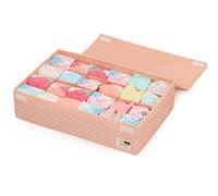 ZWCHGJ Closet Organizer Dust-proof Storage Boxes with Lid Washable Clothes Organizer Visible Foldable Drawer Separation Box for Home Socks Panty 2 in 1