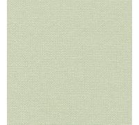 Zweigart 20 Count Sage Green Aida Quality Fabric in Various Sizes (50 x 55 cm)