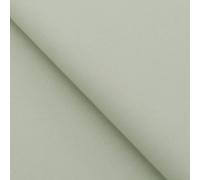 Zweigart Sage Green (6083) 20 Count Fat Quarter Aida Measuring 55cm x 50cm (21 x 19 Inches)