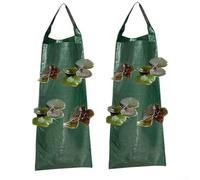 ZWEquipint 2 Pack Upside Down Strawberry Grow Bags, Hanging with Multiple Pockets for Tomatoes Peppers Herbs, Space-Saving Vertical Garden Fabric Pots 62x25cm(A)