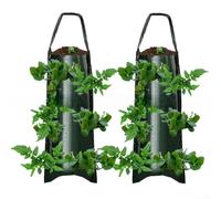 ZWEquipint 2 Pack Upside Down Strawberry Grow Bags, Hanging with Multiple Pockets for Tomatoes Peppers Herbs, Space-Saving Vertical Garden Fabric Pots 62x25cm(B)