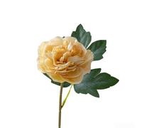 ZWEquipint 5-Pack Realistic Fabric Artificial Peony Bouquets For Home And Office Decor,UV-Resistant, Fade-Proof, Lifelike Elegance With Vibrant Colors And Textures(Green)